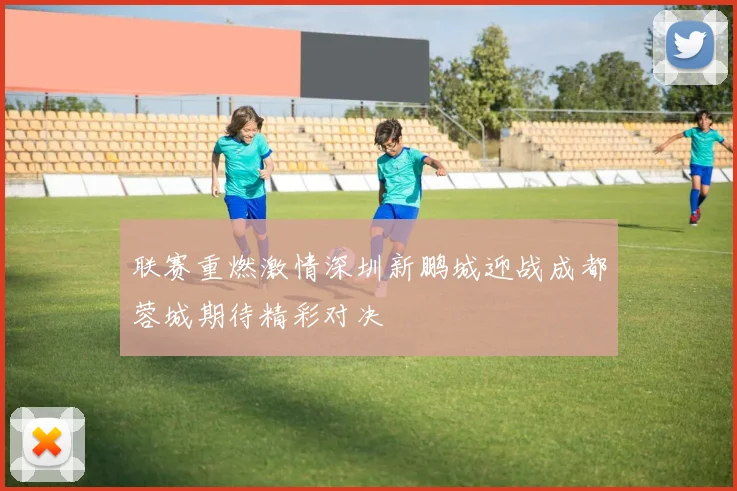 联赛重燃激情深圳新鹏城迎战成都蓉城期待精彩对决